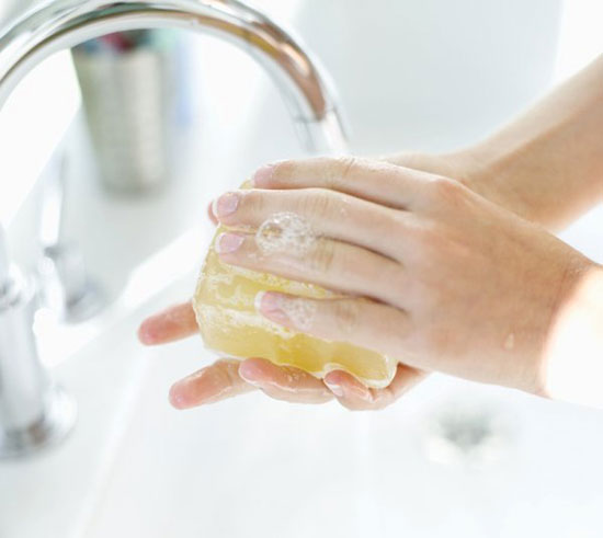 cách xử lý vết côn trùng đốt