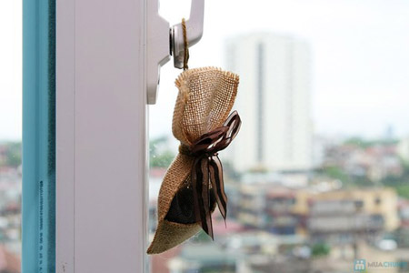 cách khử mùi hôi nhà