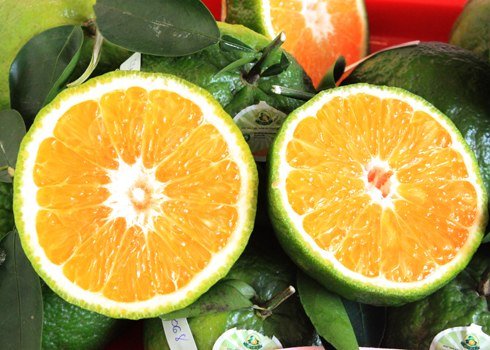 lợi ích trái cây từ vỏ đến ruột