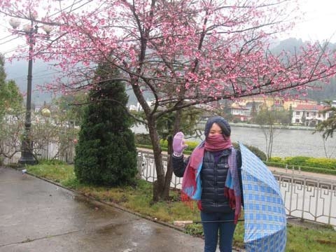 Sapa Mùa Hoa Anh Đào - hình minh họa 9