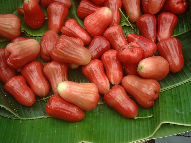 ="mận