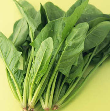 Vitamin K2 và xương chắc khỏe - hình minh họa 2
