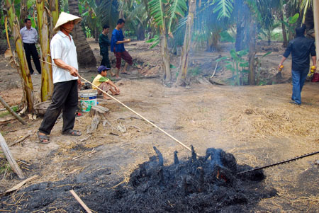 cá lóc nướng trui miền Tây - hình minh họa 6