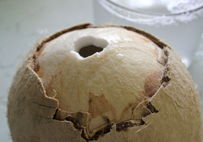mứt sữa dừa