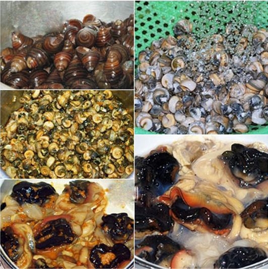 cách nấu bún ốc chuối đậu - hình minh họa 2