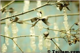 Thổi Hồn Cho Không Gian Sống Với