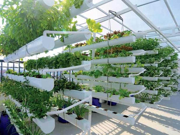 Biệt thự phố trang nhã và sang trọng Biệt thự phố trang nhã và sang trọng - Archi
