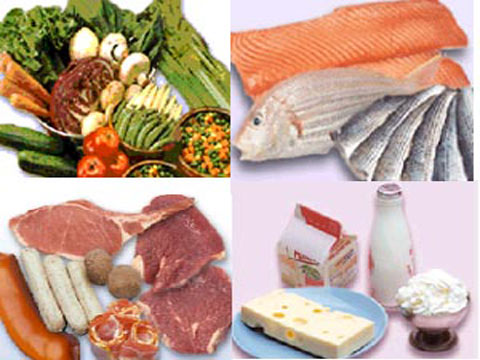 vệ sinh an toàn thực phẩm - hình minh họa 2