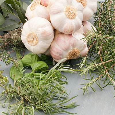 Sưởi Ấm Cơ Thể Từ