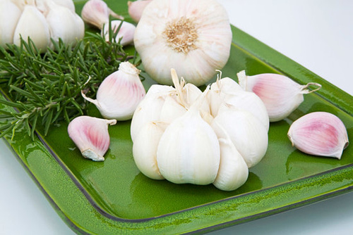 Dạ Dày Trống Rỗng Lựa