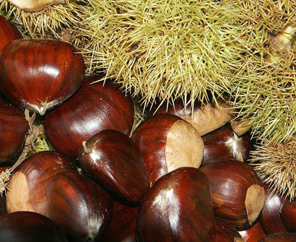 Thận Khỏe Mạnh, Đời Tươi Trẻ