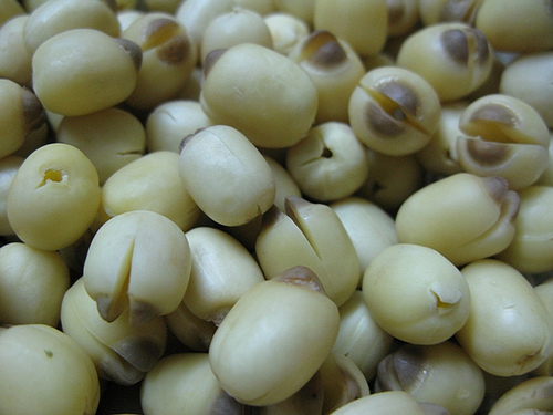 món ăn tăng cường vị giác