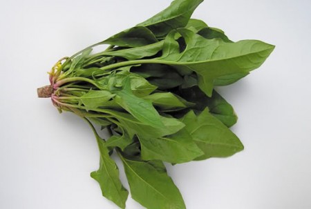 Chăm Sức Đề Kháng Cho Gia Đình - hình minh họa 3