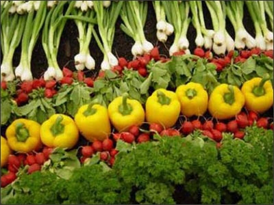 Bí Quyết Giữ Ấm Cơ Thể - hình minh họa 2
