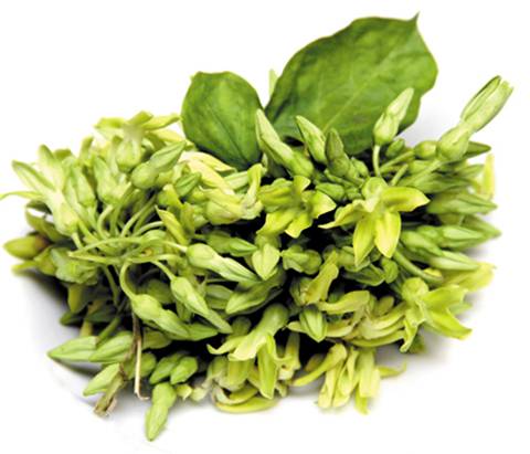 Lợi ích sức khỏe từ các loại hoa 7