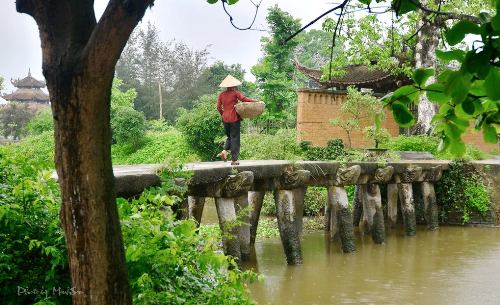 Chùa Nôm cổ kính - hình minh họa 2