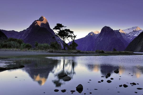 Vẻ đẹp Milford Sound - hình minh họa 3