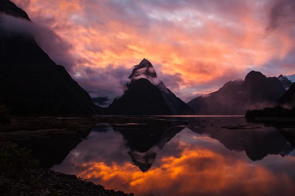Vẻ đẹp Milford Sound - hình minh họa 12