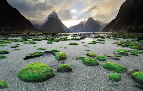 Vẻ đẹp Milford Sound - hình minh họa 15