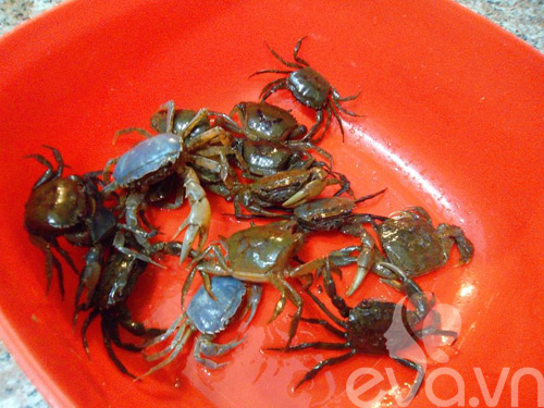 nau-canh-cua-bi-xanh-mon-canh-ngon-cho-mua-he-1 nau-canh-cua-bi-xanh-mon-canh-ngon-cho-mua-he-1