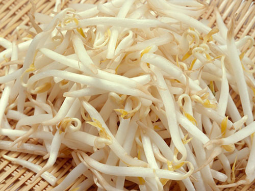 giá đỗ giảm cân - hình minh họa 2