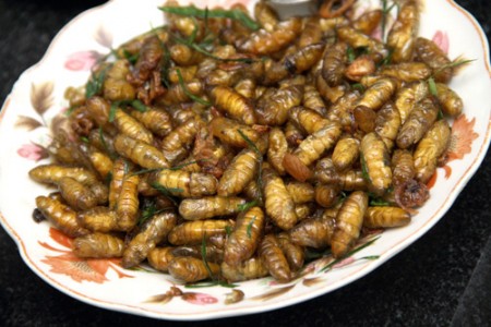 thực phẩm gan nhiễm mỡ